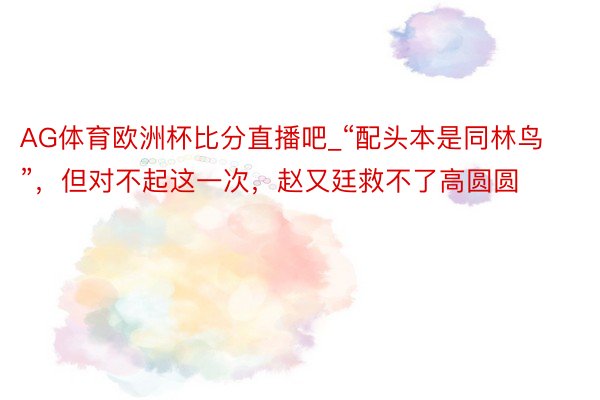 AG体育欧洲杯比分直播吧_“配头本是同林鸟”，但对不起这一次，赵又廷救不了高圆圆