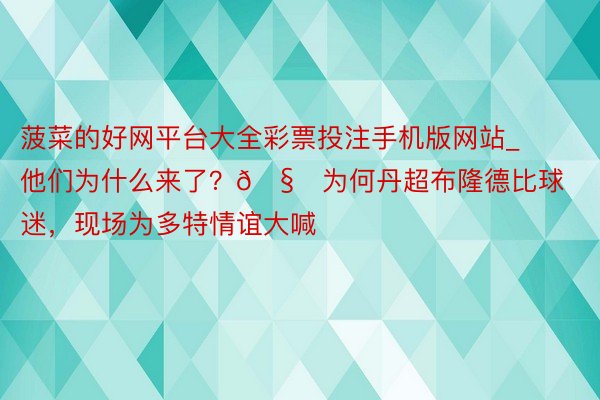 菠菜的好网平台大全彩票投注手机版网站_他们为什么来了？🧐为何丹超布隆德比球迷，现场为多特情谊大喊