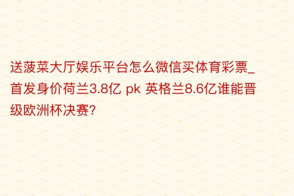 送菠菜大厅娱乐平台怎么微信买体育彩票_首发身价荷兰3.8亿 pk 英格兰8.6亿谁能晋级欧洲杯决赛？